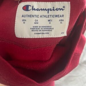 ｡･ﾟﾟ･　CHAMPION CREWNECK　･ﾟﾟ･｡